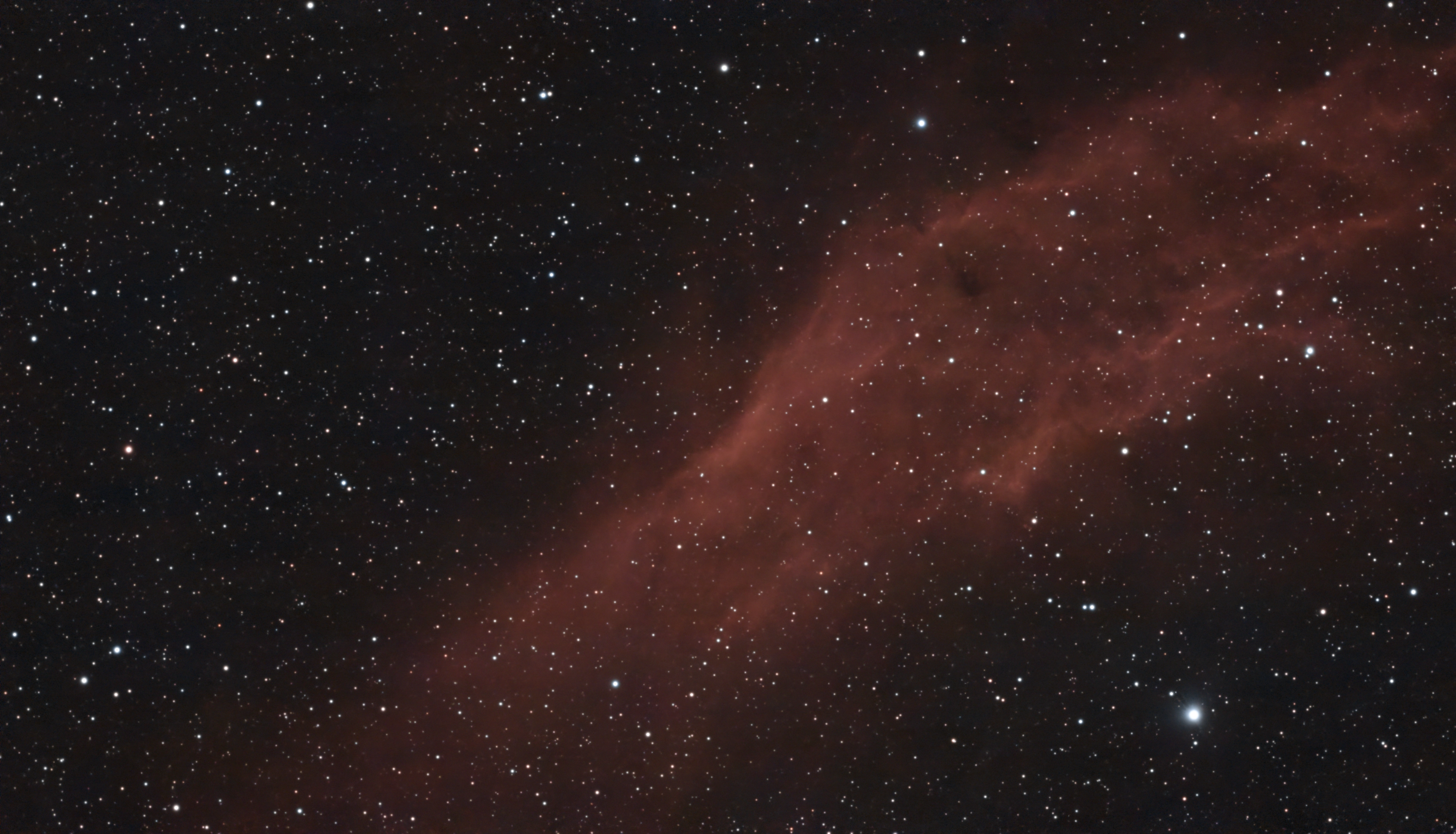 California Nebula